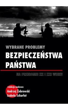 Wybrane problemy bezpieczeństwa państwa na przełomie XX i XXI wieku - Ebook - 978-83-7467-389-1