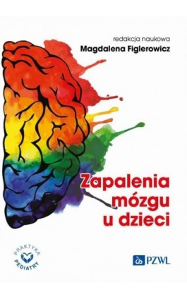 Zapalenia mózgu u dzieci - Ebook - 978-83-01-23821-6