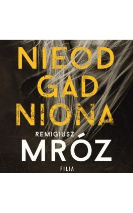 Nieodgadniona - Remigiusz Mróz - Audiobook - 978-83-8075-605-2