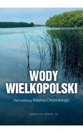 Wody Wielkopolski - Adam Choiński - Ebook - 978-83-232-3566-8