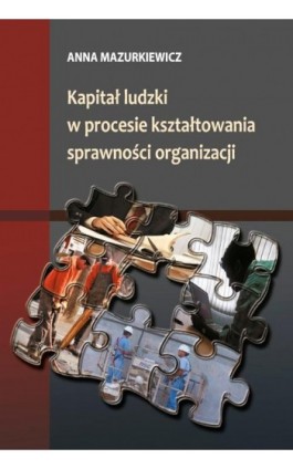 Kapitał ludzki w procesie kształtowania sprawności organizacji - Anna Mazurkiewicz - Ebook - 978-83-7338-551-1