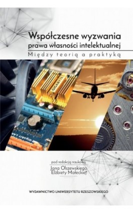 Współczesne wyzwania prawa własności intelektualnej - Ebook - 978-83-7996-366-9