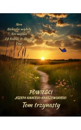 Powieści Józefa Ignacego Kraszewskiego. Tom 13 - Józef Ignacy Kraszewski - Ebook - 978-83-7639-718-4