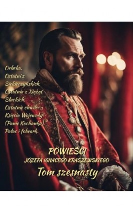 Powieści Józefa Ignacego Kraszewskiego. Tom 16 - Józef Ignacy Kraszewski - Ebook - 978-83-7639-719-1