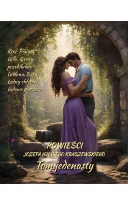 Powieści Józefa Ignacego Kraszewskiego. Tom 11 - Józef Ignacy Kraszewski - Ebook - 978-83-7639-714-6