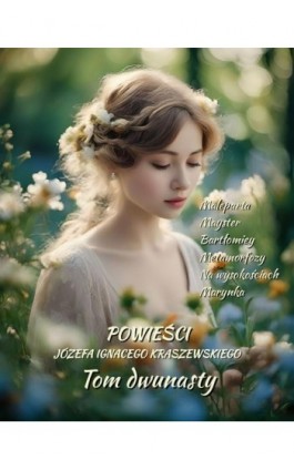 Powieści Józefa Ignacego Kraszewskiego. Tom 12 - Józef Ignacy Kraszewski - Ebook - 978-83-7639-715-3