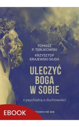 Uleczyć Boga w sobie - Tomasz P. Terlikowski - Ebook - 978-83-277-3564-5