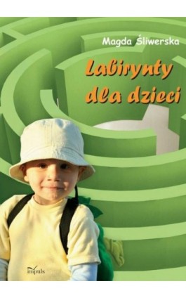 Labirynty dla dzieci - Magda Śliwerska - Ebook - 978-83-8095-173-0