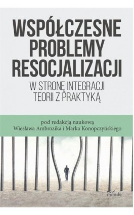 Współczesne problemy resocjalizacji - Marek Konopczyński - Ebook