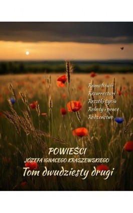 Powieści Józefa Ignacego Kraszewskiego. Tom 22 - Józef Ignacy Kraszewski - Ebook - 978-83-7639-725-2