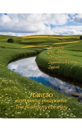 Powieści Józefa Ignacego Kraszewskiego. Tom 29 - Józef Ignacy Kraszewski - Ebook - 978-83-7639-732-0