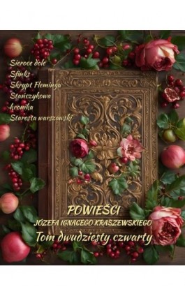 Powieści Józefa Ignacego Kraszewskiego. Tom 24 - Józef Ignacy Kraszewski - Ebook - 978-83-7639-727-6