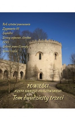 Powieści Józefa Ignacego Kraszewskiego. Tom Tom 23 - Józef Ignacy Kraszewski - Ebook - 978-83-7639-726-9