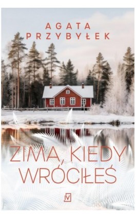 Zima, kiedy wróciłeś - Agata Przybyłek - Ebook - 9788368263039