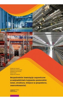 Bezpośrednie inwestycje zagraniczne w województwie kujawsko-pomorskim - Małgorzata Jaworek - Ebook - 978-83-231-5337-5