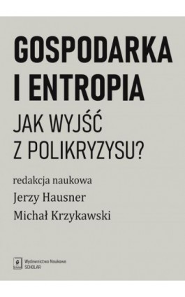 Gospodarka i entropia - Michał Krzykawski - Ebook - 978-83-67450-36-2