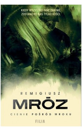 Cienie pośród mroku - Remigiusz Mróz - Ebook - 978-83-8357-899-6