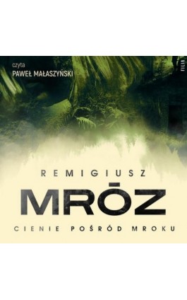 Cienie pośród mroku - Remigiusz Mróz - Audiobook - 978-83-8357-873-6