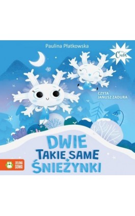 Dwie takie same śnieżynki - Paulina Płatkowska - Audiobook - 978-83-8299-492-6