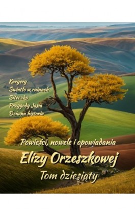 Powieści, nowele i opowiadania Elizy Orzeszkowej. Tom X - Eliza Orzeszkowa - Ebook - 978-83-7639-753-5