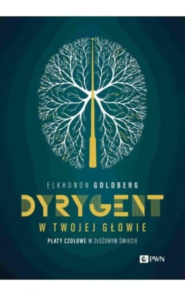 Dyrygent w twojej głowie - Elkhonon Goldberg - Ebook - 978-83-01-24060-8