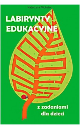 Labirynty edukacyjne z zadaniami dla dzieci - Katarzyna Michalec - Ebook - 978-83-8166-476-9