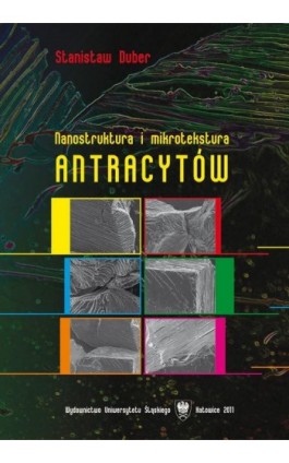 Nanostruktura i mikrotekstura antracytów - Stanisław Duber - Ebook - 978-83-8012-650-3