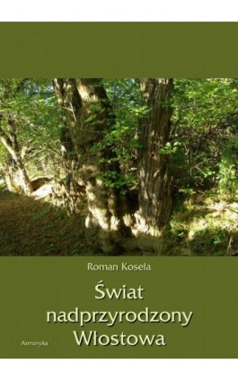 Świat nadprzyrodzony Włostowa - Roman Koseła - Ebook - 978-83-8064-089-4