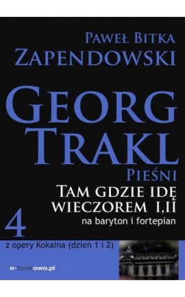 Tam gdzie idę wieczorem - Paweł Bitka Zapendowski - Ebook - 978-83-62480-25-8