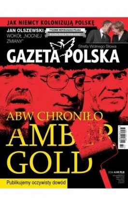 Gazeta Polska 31/05/2017 - Ebook