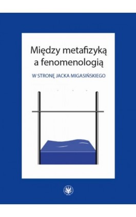 Między metafizyką a fenomenologią - Ebook - 978-83-235-3250-7