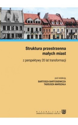 Struktura przestrzenna małych miast z perspektywy 20 lat transformacji - Ebook - 978-83-7525-560-7