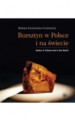Bursztyn w Polsce i na świecie - Barbara Kosmowska-Ceranowicz - Ebook - 978-83-235-2611-7