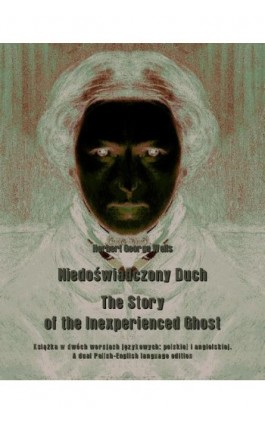 Niedoświadczony Duch. The Story of the Inexperienced Ghost - Herbert George Wells - Ebook - 978-83-7950-519-7
