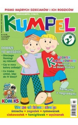 Kumpel 11/2015 - Ebook