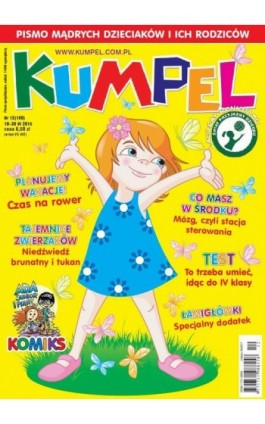 Kumpel 12/2015 - Ebook