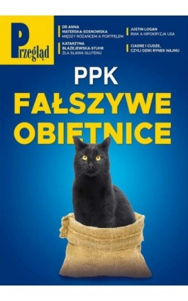 Przegląd. 13 - Jerzy Domański - Ebook